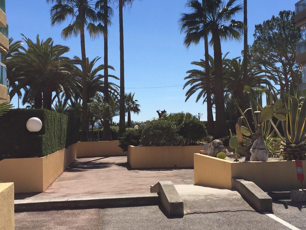 Dionysos Vue Mer Cannes Room photo